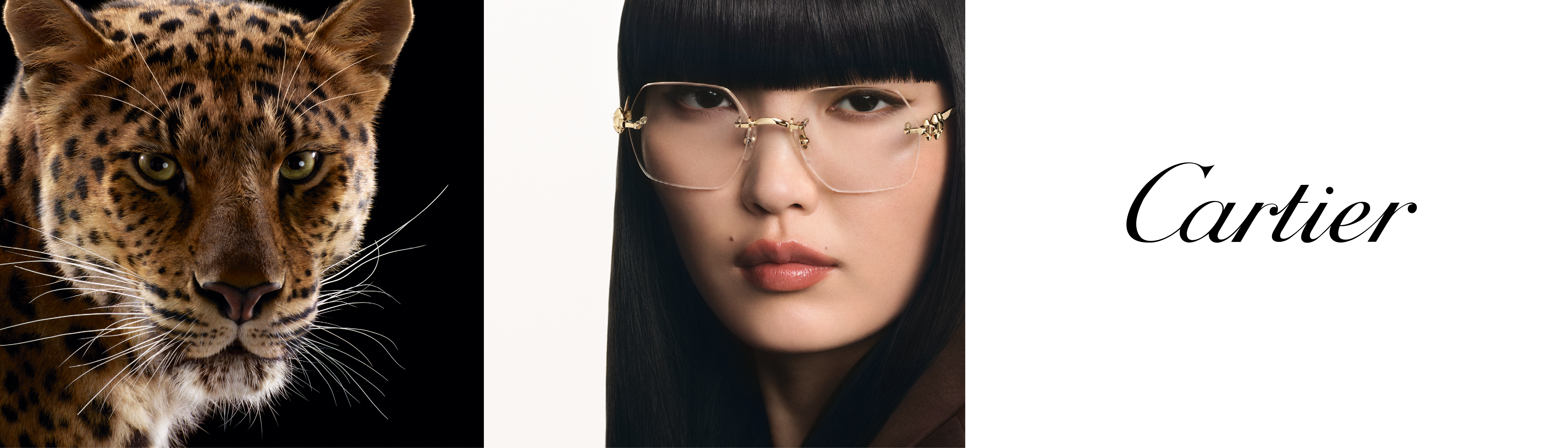 Cartier Glasses