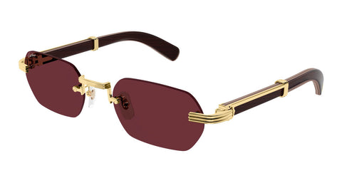 Cartier CT0362S 008