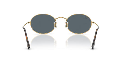 Ray-Ban Oval RB 3547N 001/R5 Sunglasses