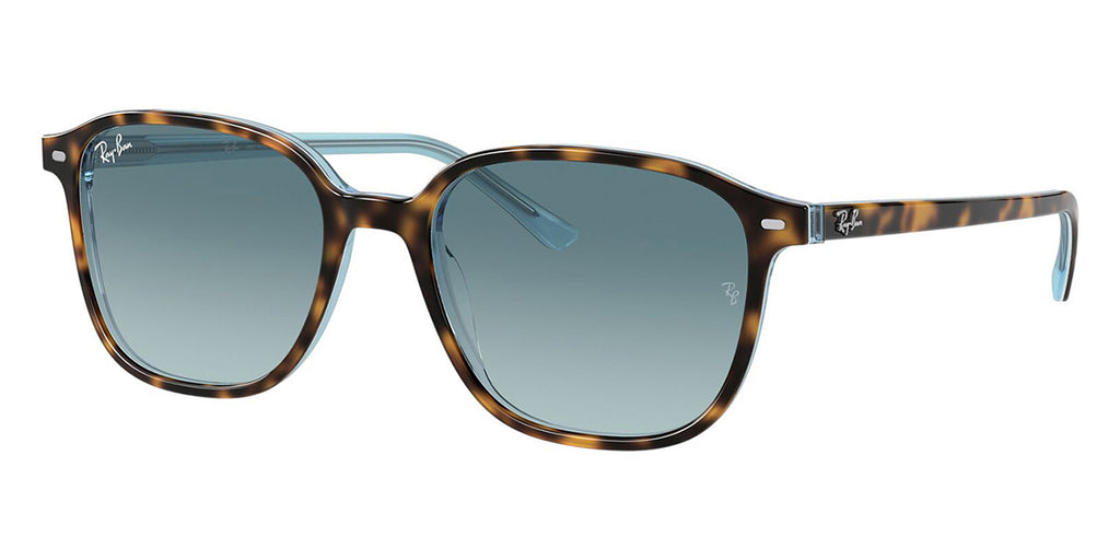 ray ban leonard rb 2193 13163m